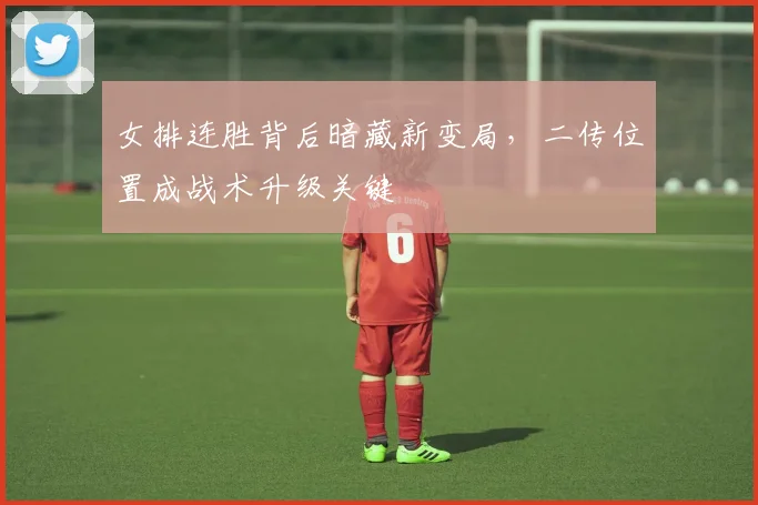 女排连胜背后暗藏新变局，二传位置成战术升级关键