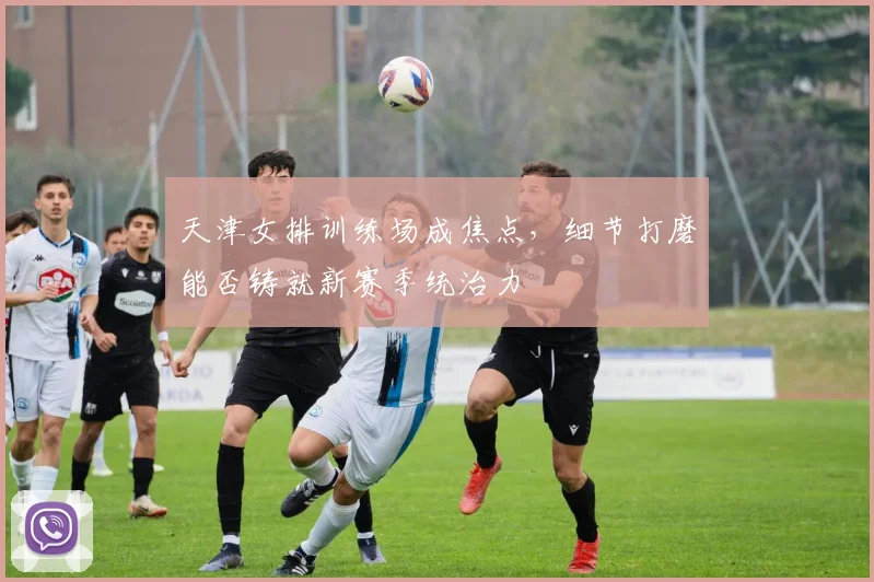 天津女排训练场成焦点，细节打磨能否铸就新赛季统治力