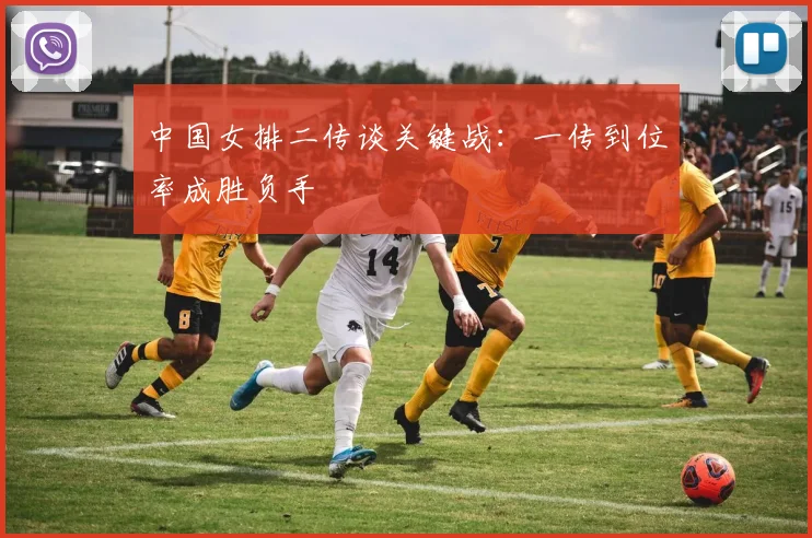 中国女排二传谈关键战：一传到位率成胜负手